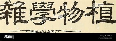《赛尔特大陆》周年庆版本手游代理的礼仪服务指南 专业态度铸就成功